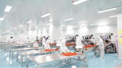 年產10億包，湖南投產超大制藥級辣條車間背后的生物科技革新